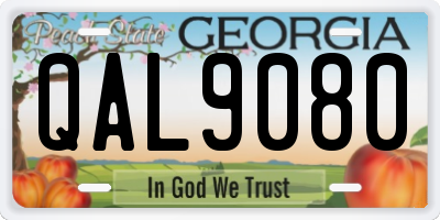 GA license plate QAL9080