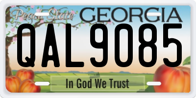 GA license plate QAL9085