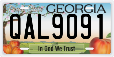 GA license plate QAL9091