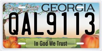 GA license plate QAL9113