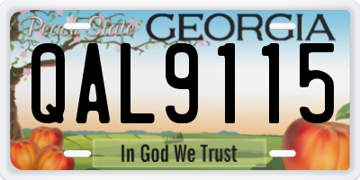 GA license plate QAL9115