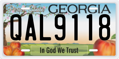 GA license plate QAL9118