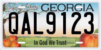 GA license plate QAL9123