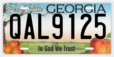 GA license plate QAL9125