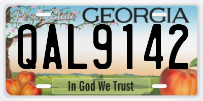 GA license plate QAL9142