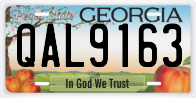 GA license plate QAL9163