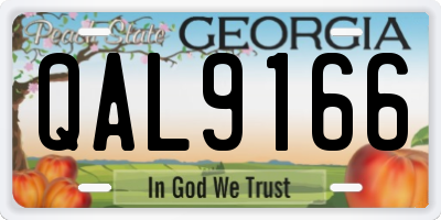 GA license plate QAL9166