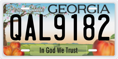 GA license plate QAL9182