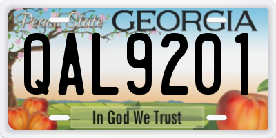 GA license plate QAL9201