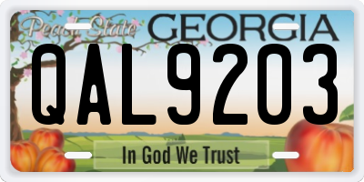 GA license plate QAL9203