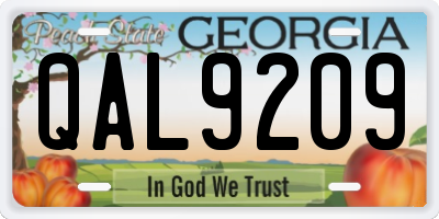 GA license plate QAL9209