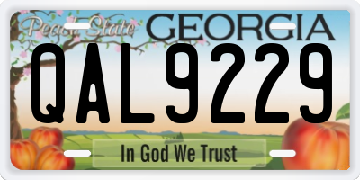 GA license plate QAL9229