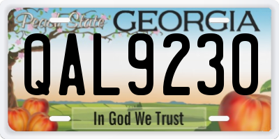GA license plate QAL9230