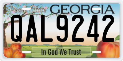 GA license plate QAL9242
