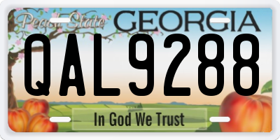 GA license plate QAL9288