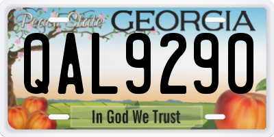 GA license plate QAL9290