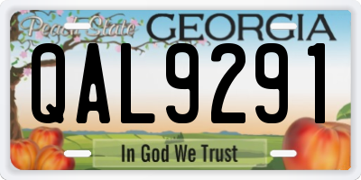 GA license plate QAL9291