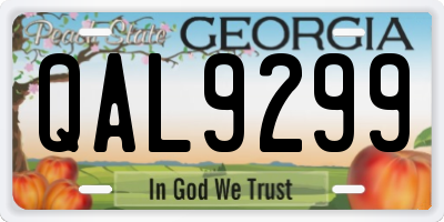 GA license plate QAL9299