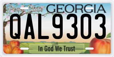 GA license plate QAL9303