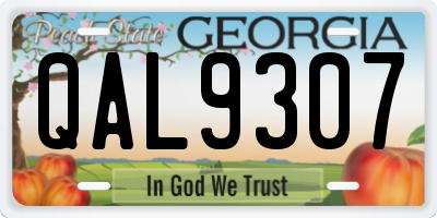 GA license plate QAL9307