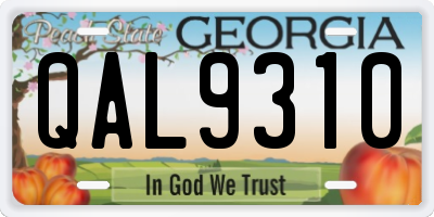 GA license plate QAL9310