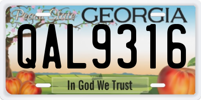 GA license plate QAL9316