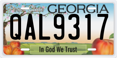 GA license plate QAL9317