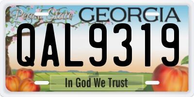 GA license plate QAL9319