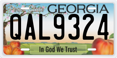 GA license plate QAL9324