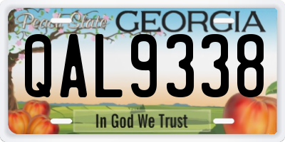 GA license plate QAL9338