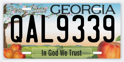 GA license plate QAL9339