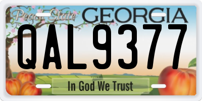 GA license plate QAL9377