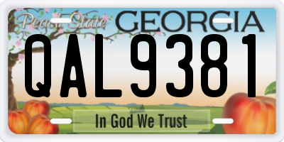 GA license plate QAL9381