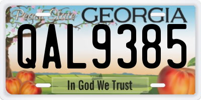 GA license plate QAL9385