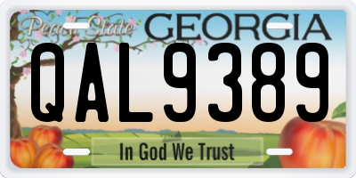 GA license plate QAL9389