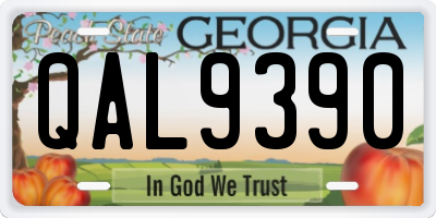 GA license plate QAL9390