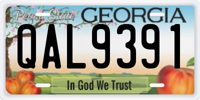 GA license plate QAL9391