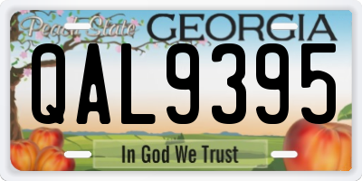 GA license plate QAL9395