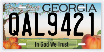GA license plate QAL9421