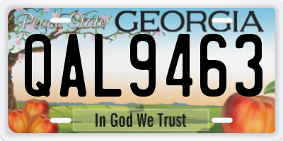 GA license plate QAL9463