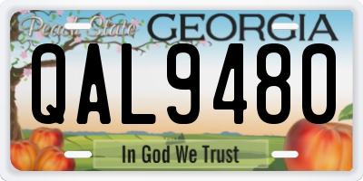 GA license plate QAL9480