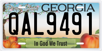 GA license plate QAL9491