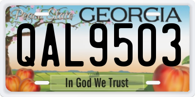 GA license plate QAL9503