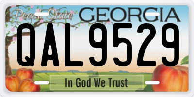 GA license plate QAL9529