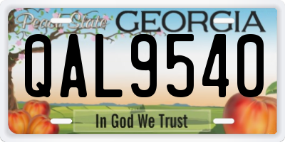 GA license plate QAL9540