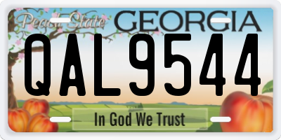 GA license plate QAL9544