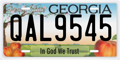 GA license plate QAL9545