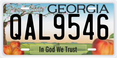 GA license plate QAL9546