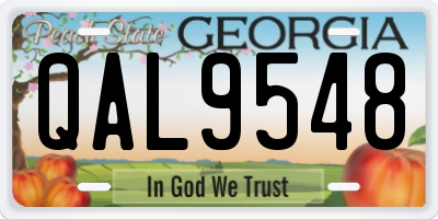 GA license plate QAL9548