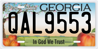 GA license plate QAL9553